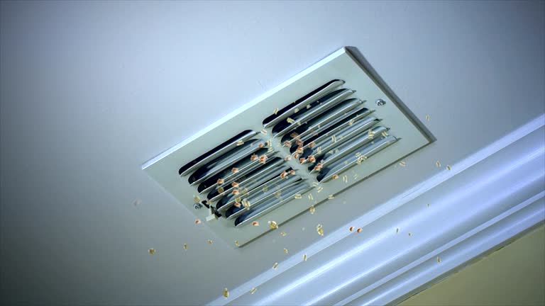 Best Commercial Air Duct Cleaning  in Curtice, OH