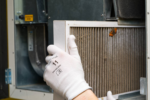 Best Air Duct Cleaning Near Me  in Curtice, OH
