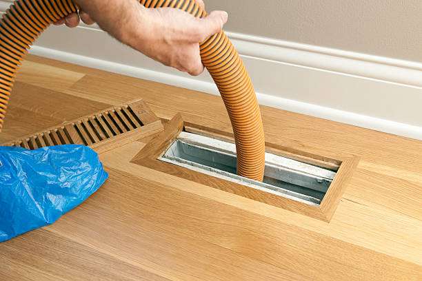 Best Emergency Air Duct Cleaning  in Curtice, OH
