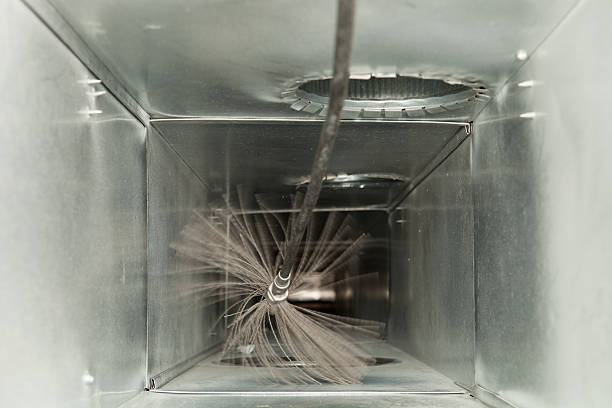 Best Air Vent Cleaning Services  in Curtice, OH