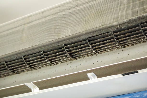 Best Home Air Vent Cleaning  in Curtice, OH