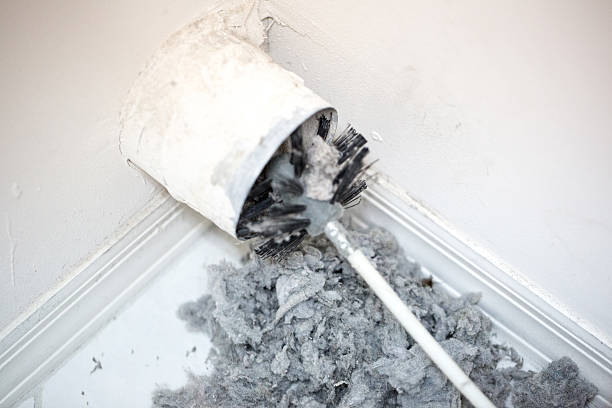 Best Best Air Duct Cleaning Company  in Curtice, OH